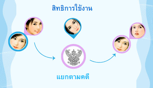 โปรแกรมทนายความ และ รับเขียนโปรแกรม ด้วยเทคโนโลยี สมัยใหม่